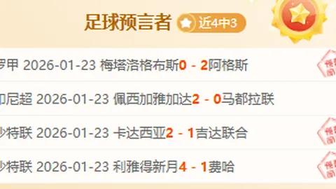 帕尔梅拉斯VS格雷米奥：期号预测及专家推荐